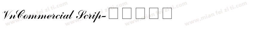 VnCommercial Scrip字体转换